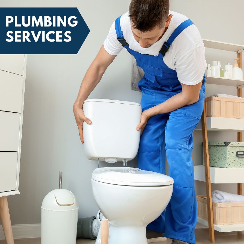 Plumbing Company in Paulina, LA