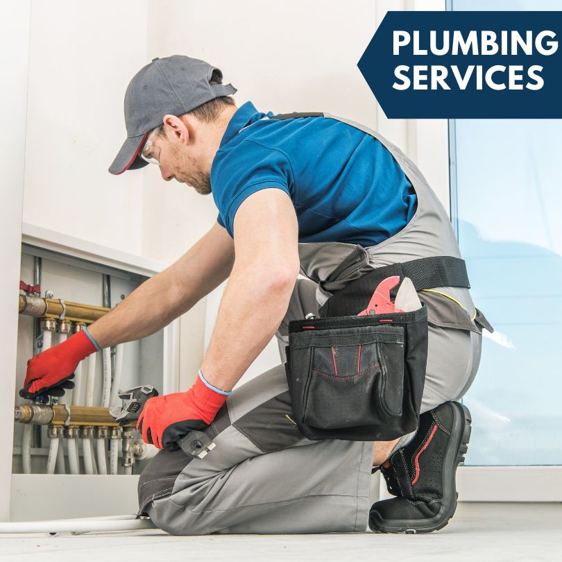 Paulina Plumbing Company